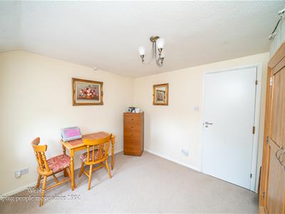 Picture 15
